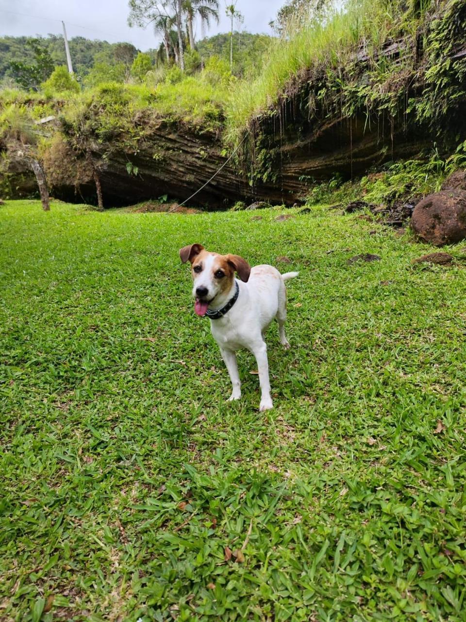 Morada Da Pedra Villa Praia Grande  Ngoại thất bức ảnh